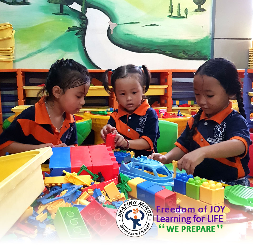 Shaping Minds Group